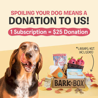 BarkBox