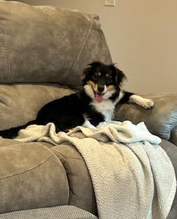 Milo