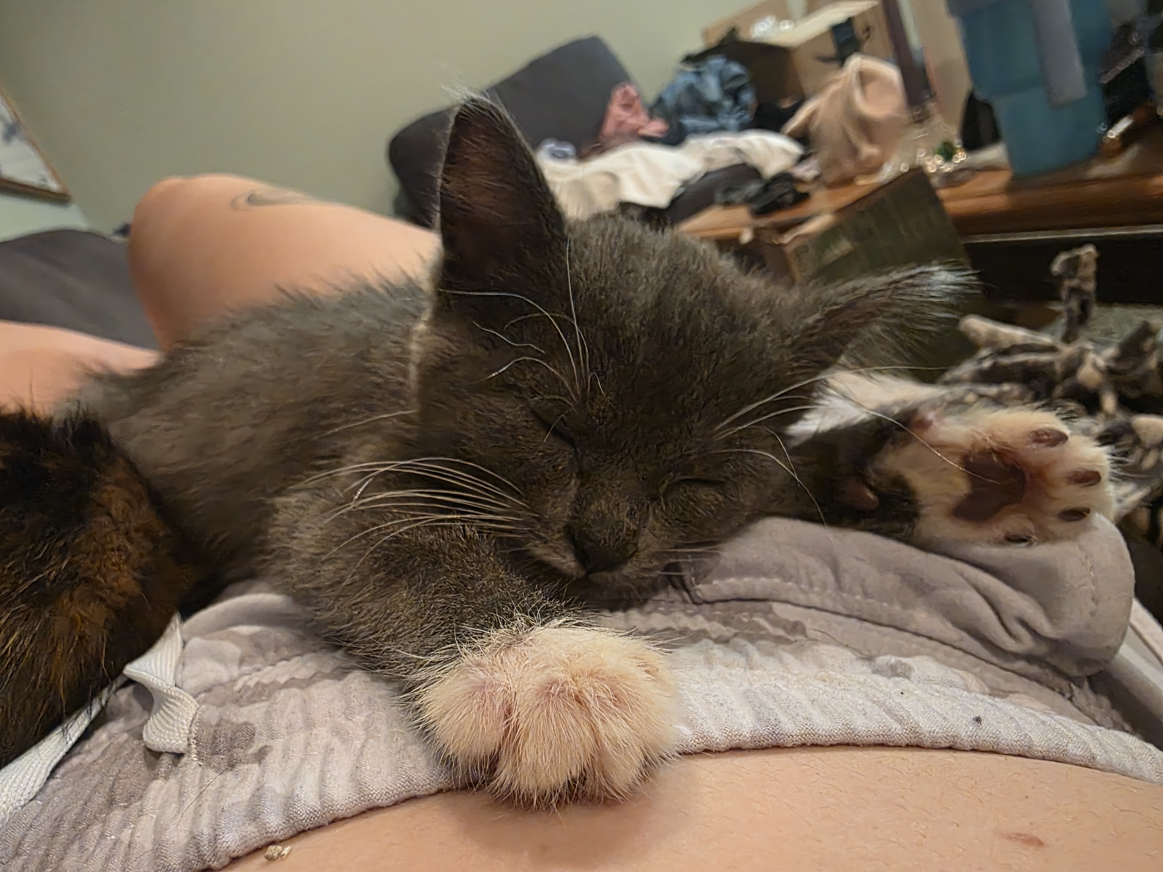 Ethel - Photo 1
