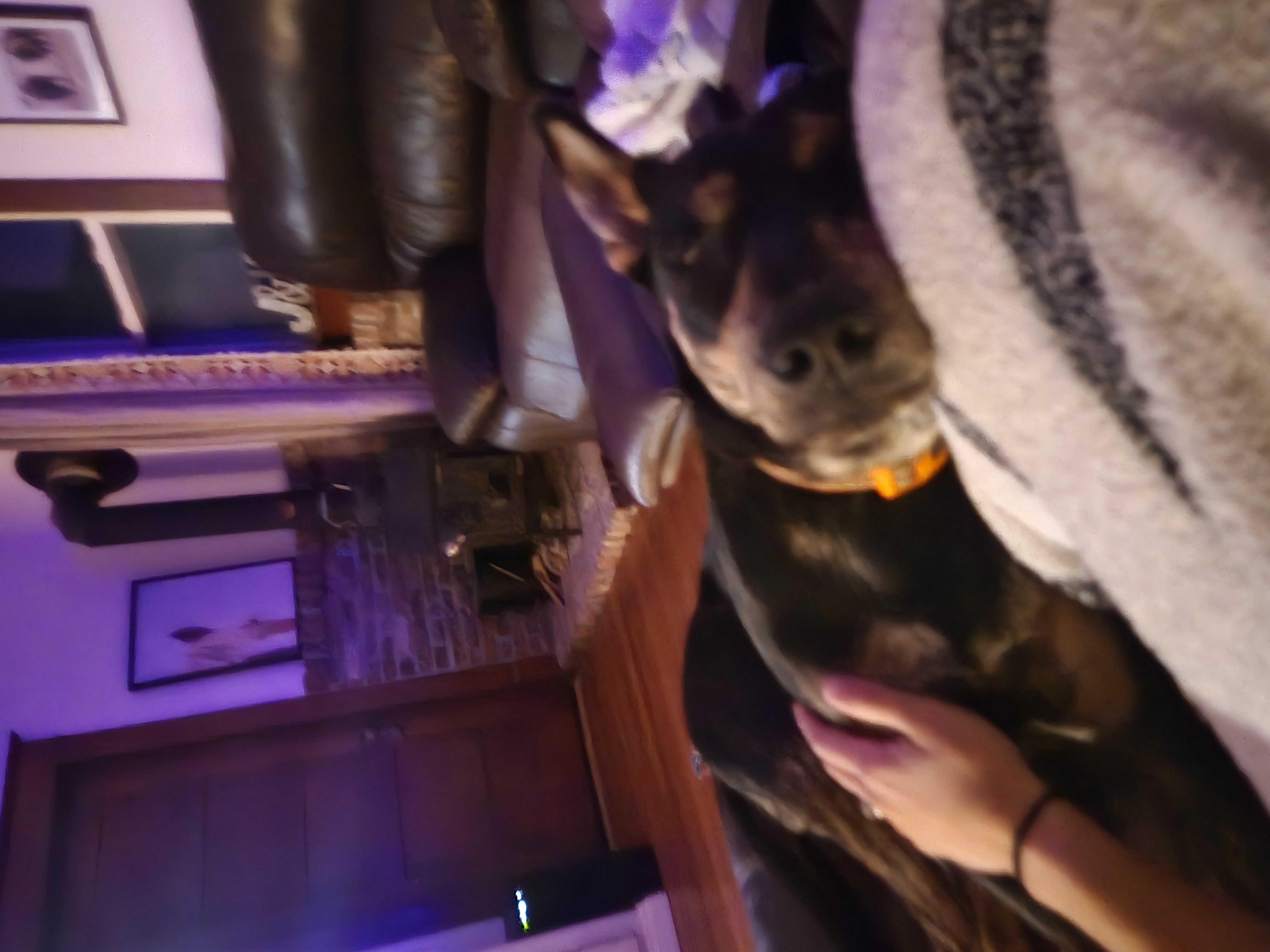 Boone thumbnail 4