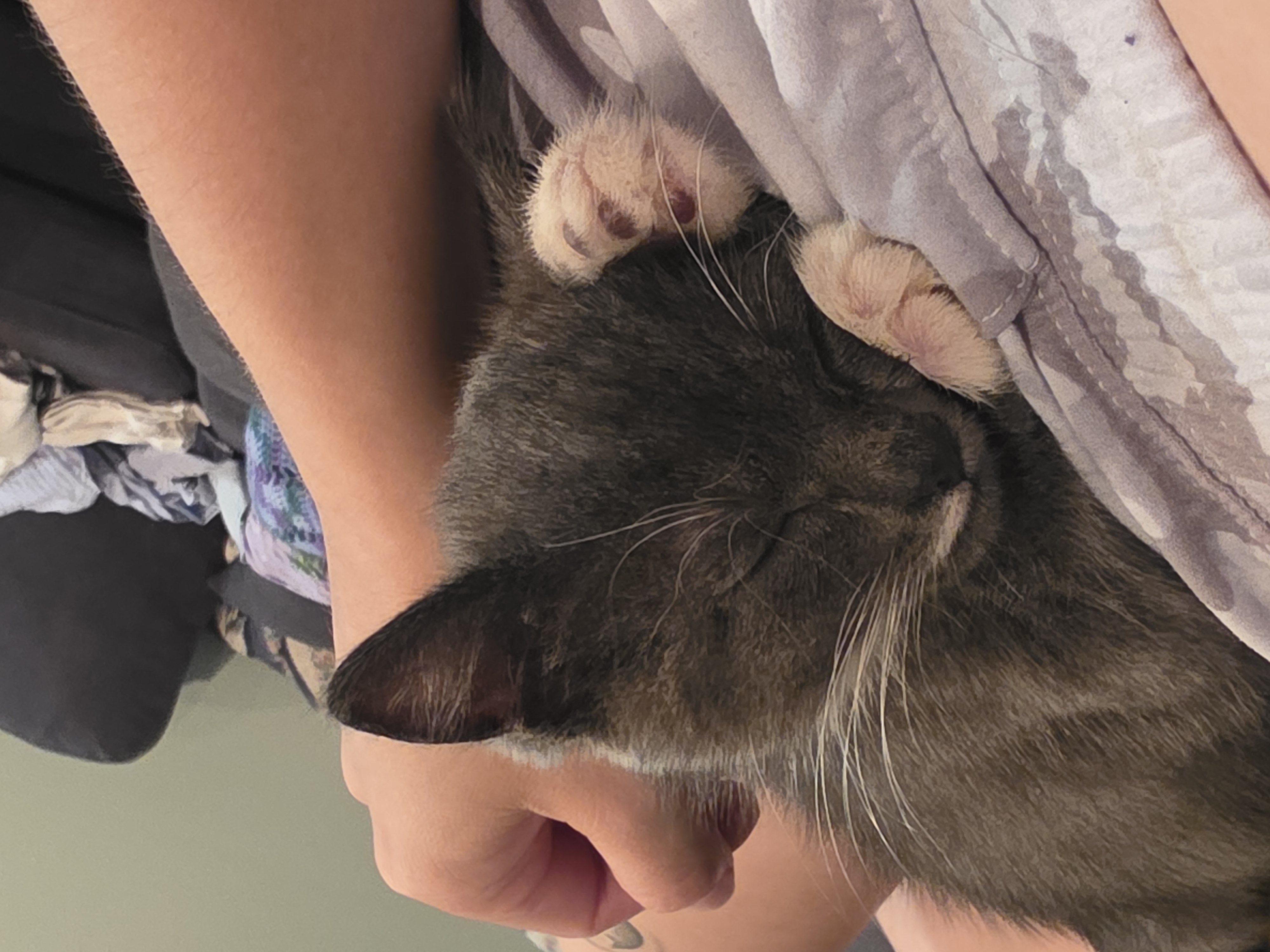 Ethel thumbnail 6