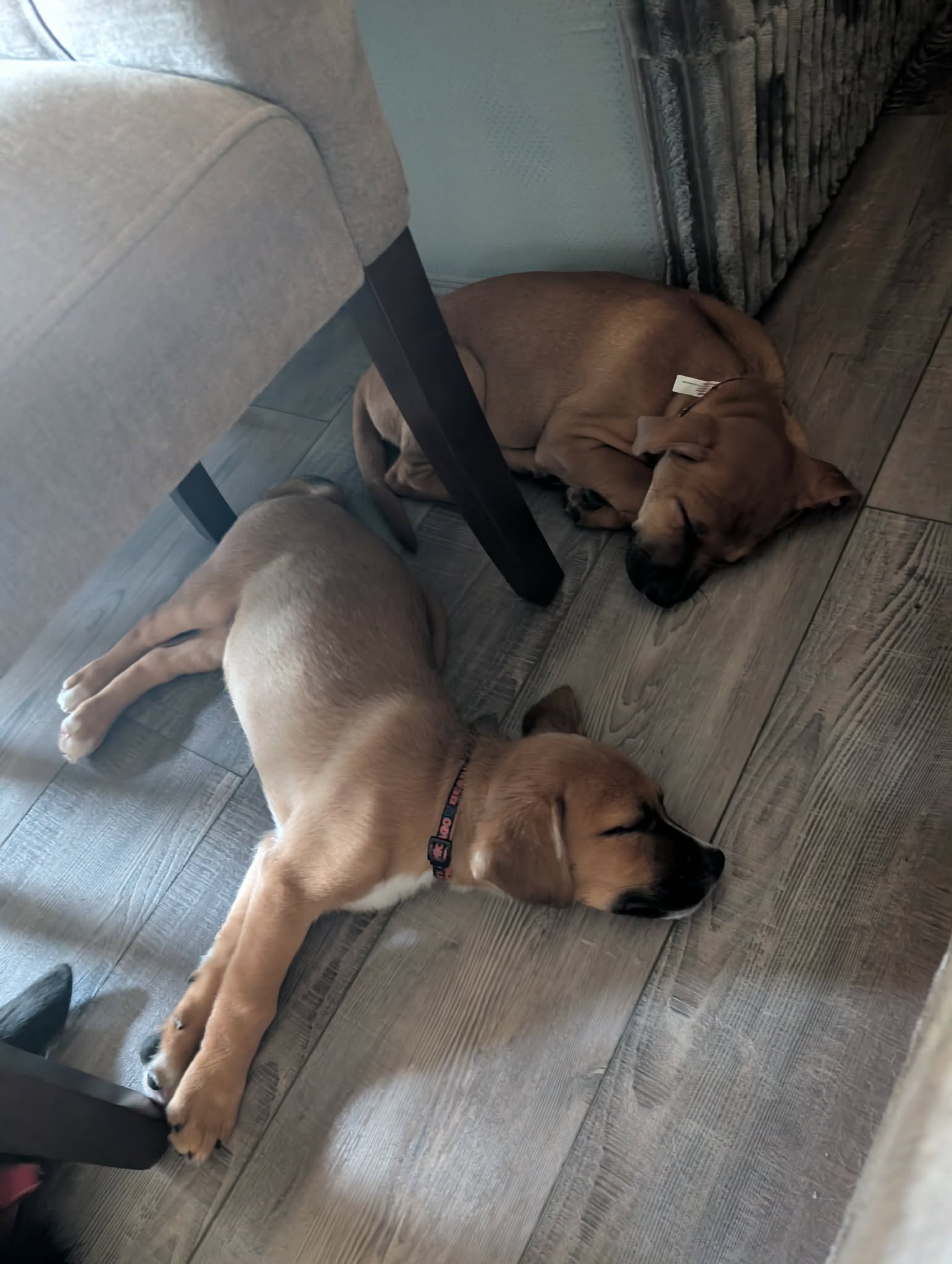Doc thumbnail 4