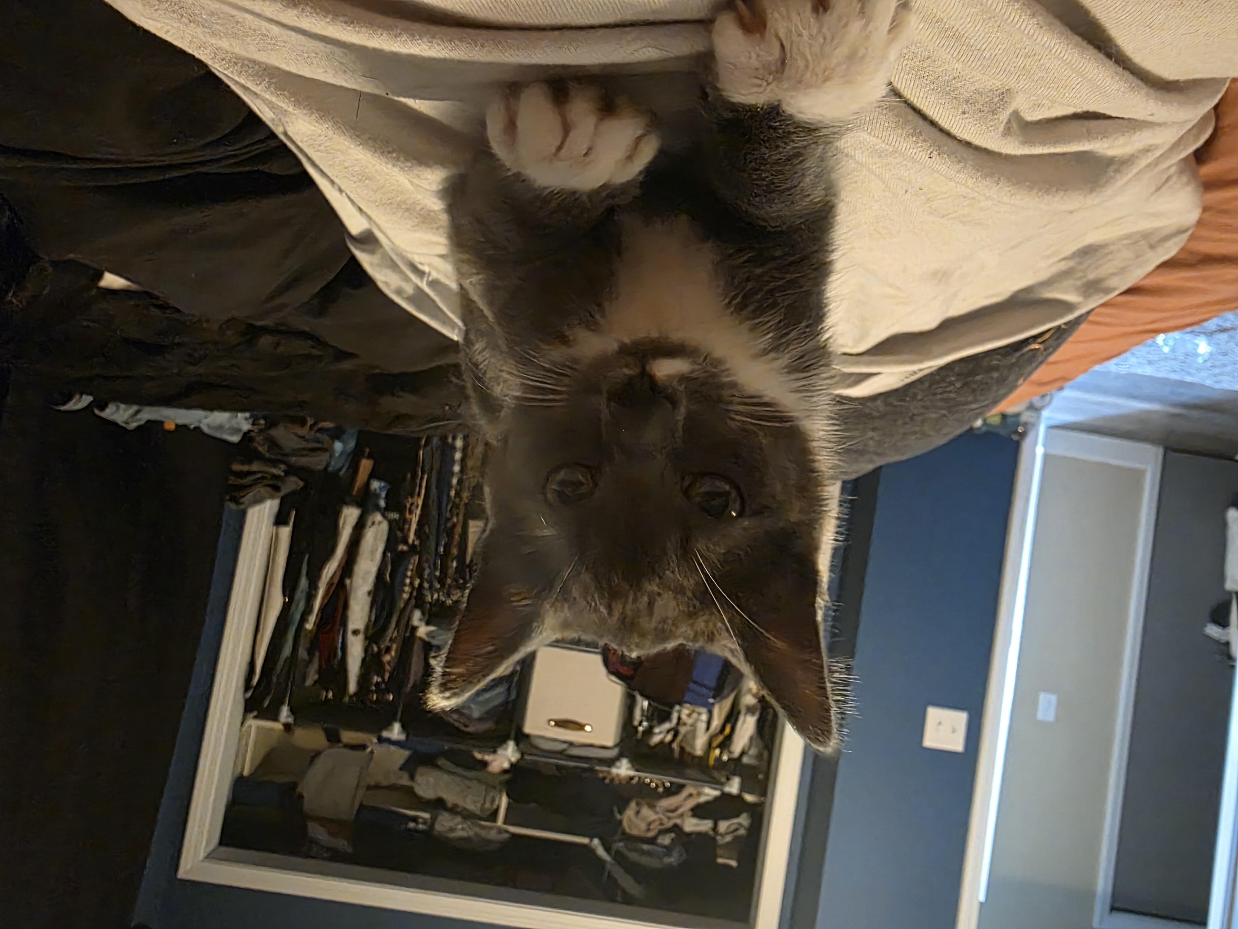 Ethel thumbnail 3