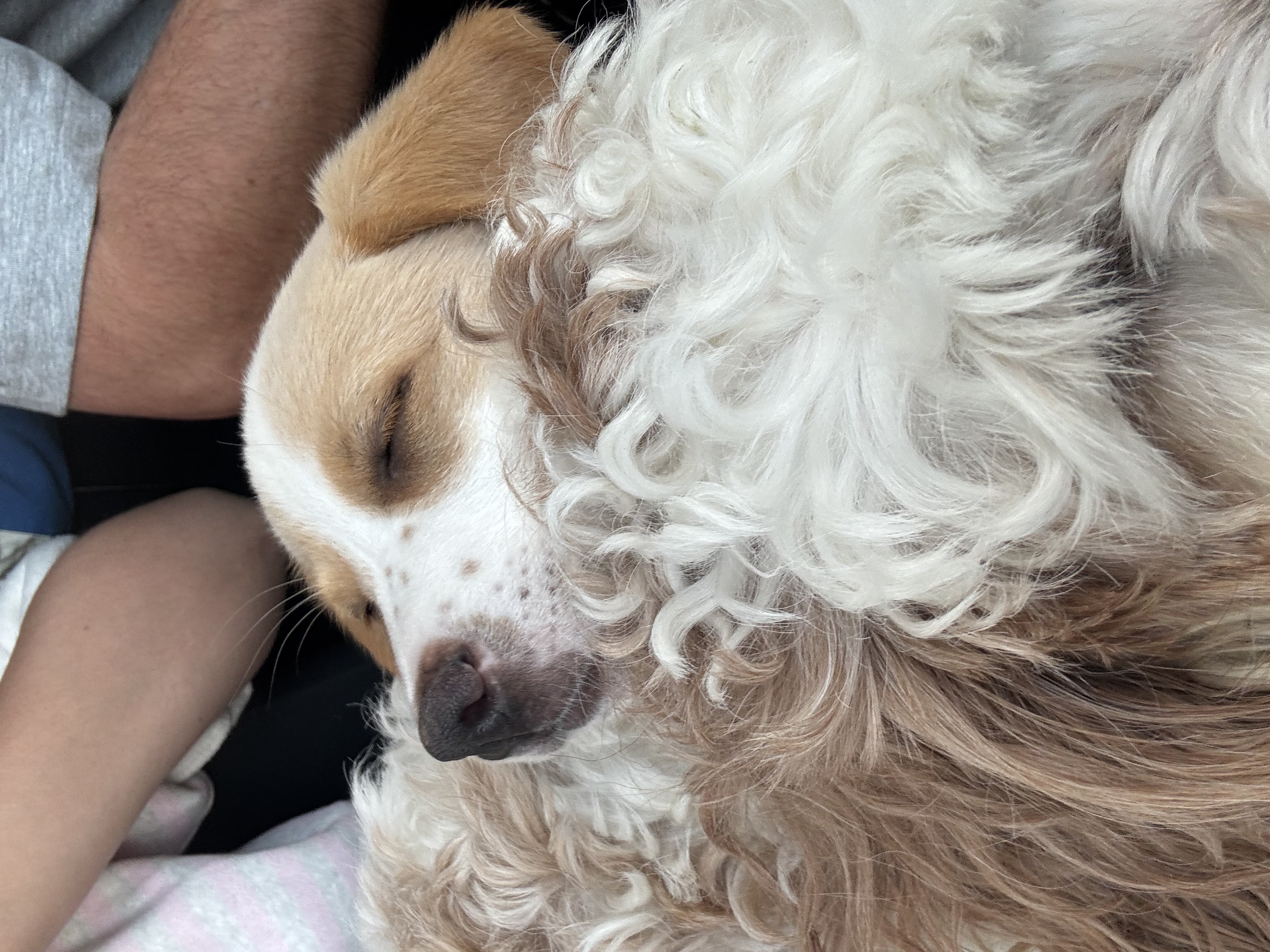 Billy - Photo 1