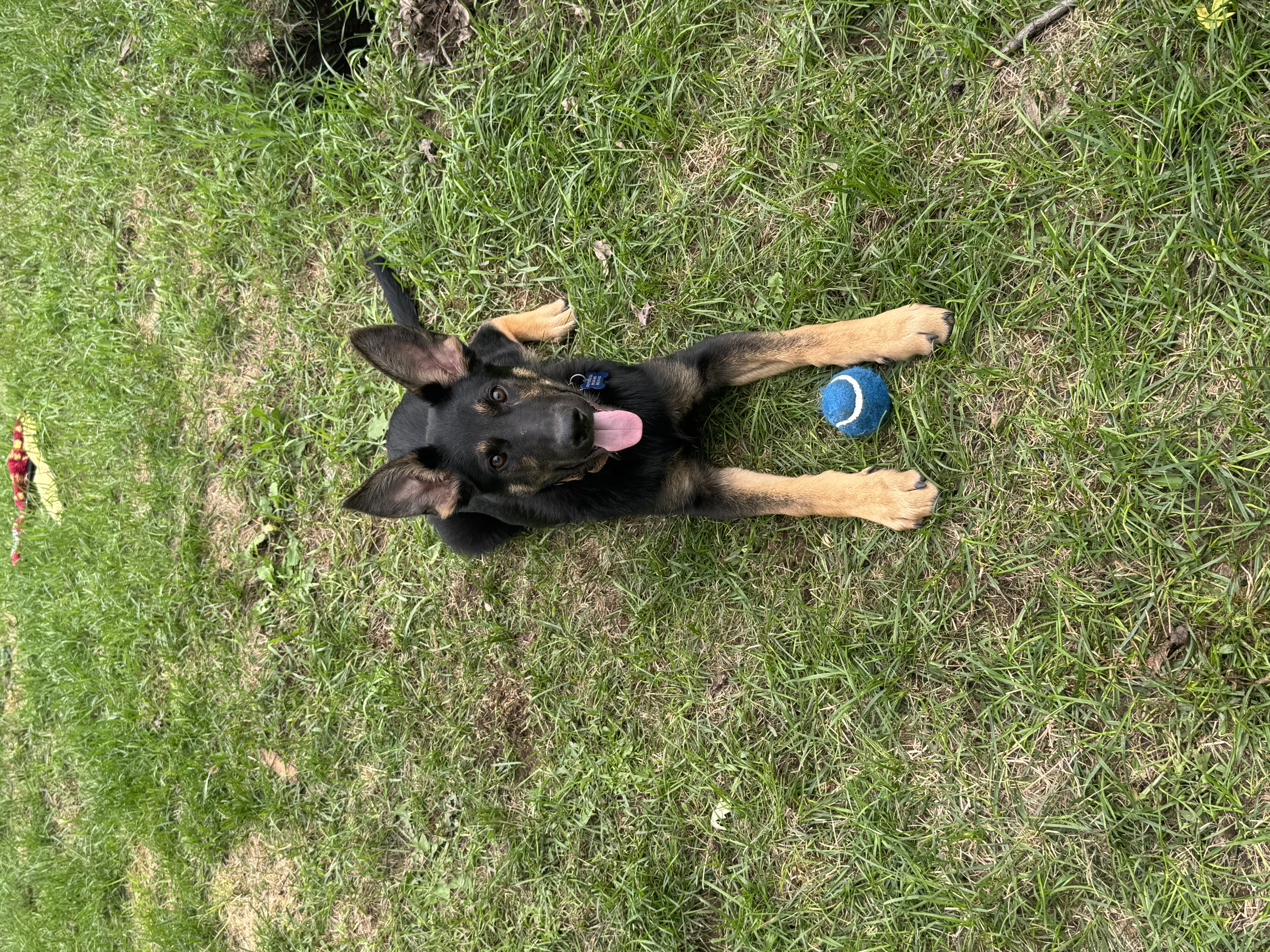 Remington
