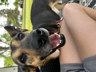 Bruce thumbnail 9