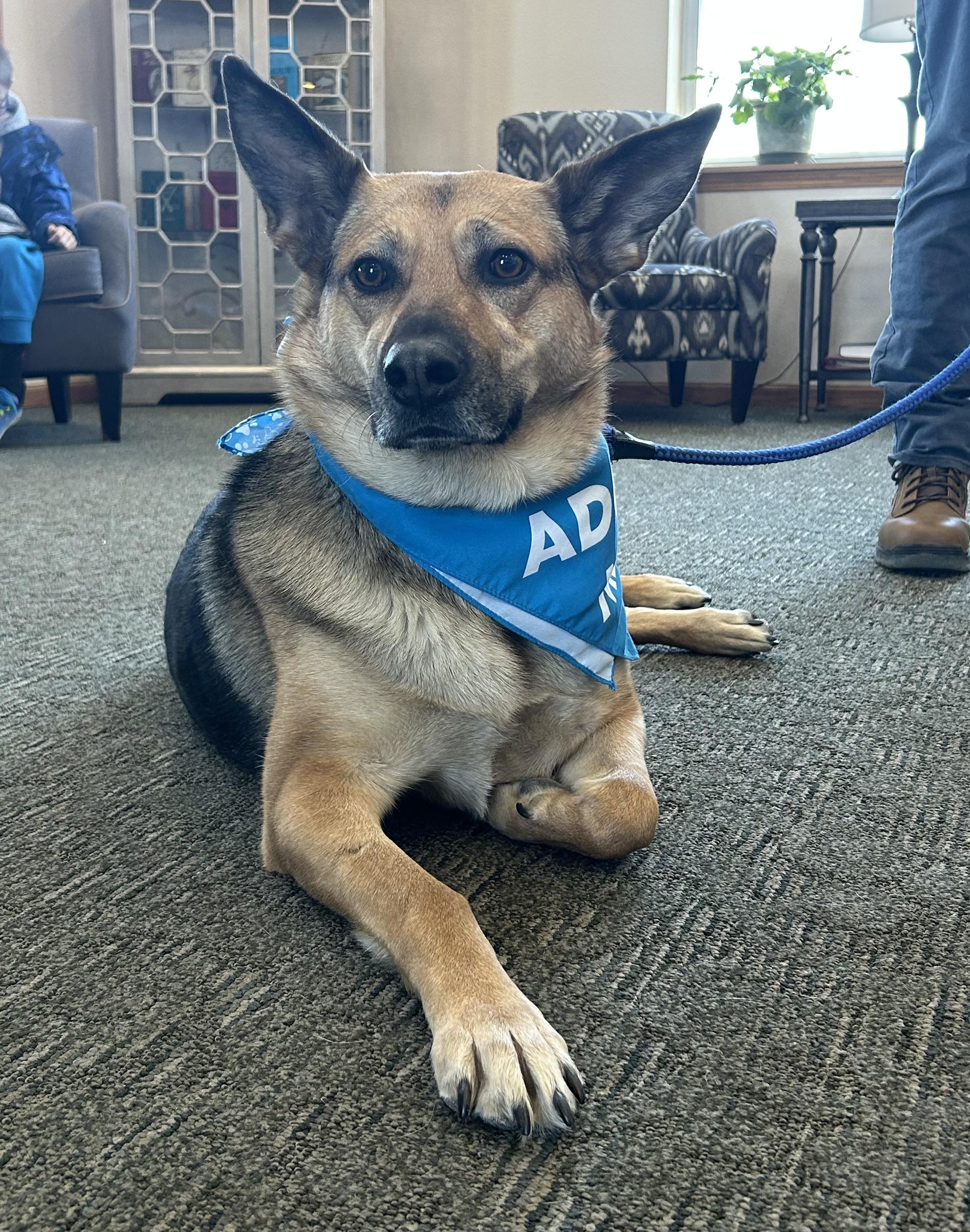 Independence - Photo 1