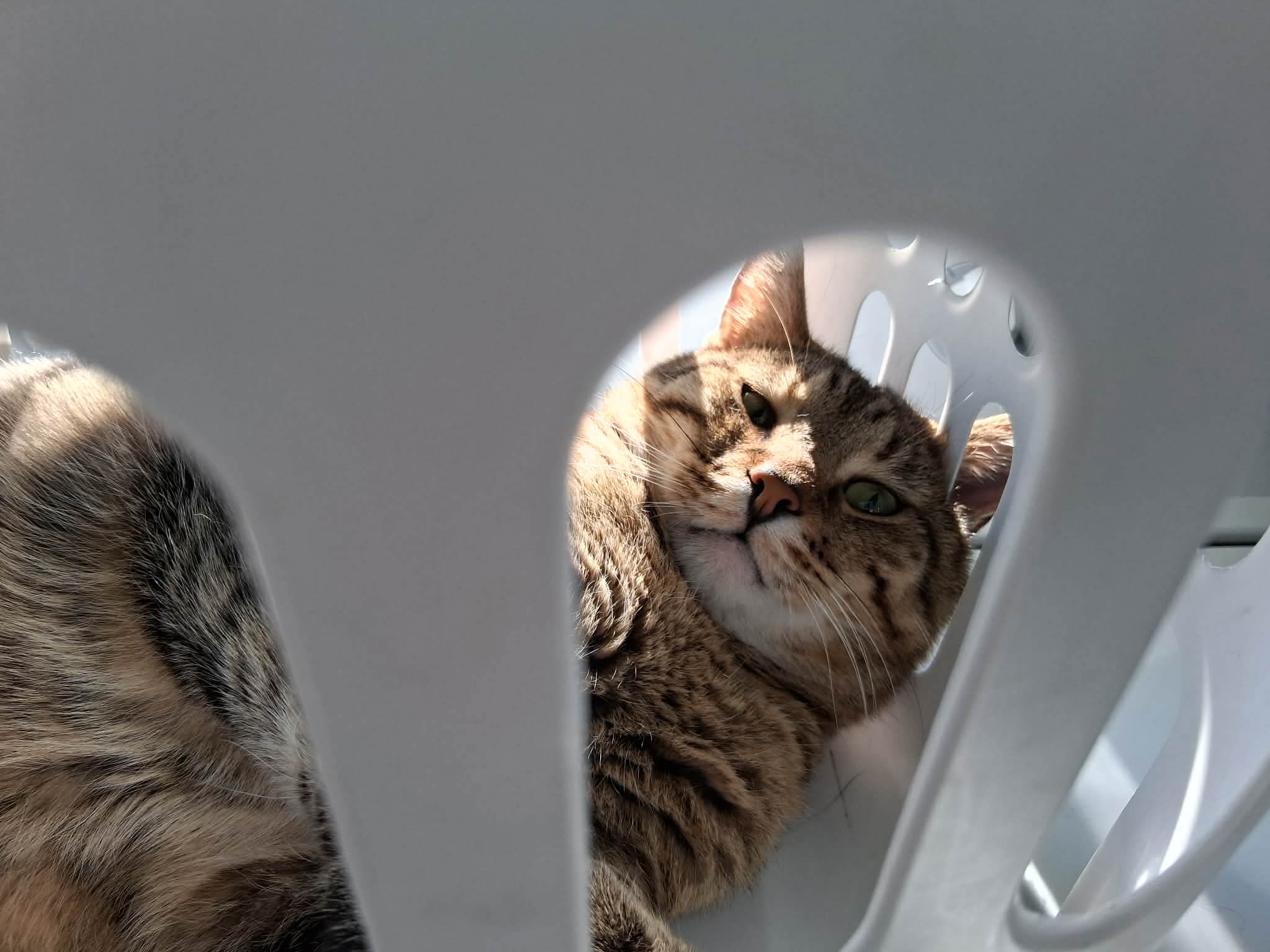 Franklin thumbnail 2