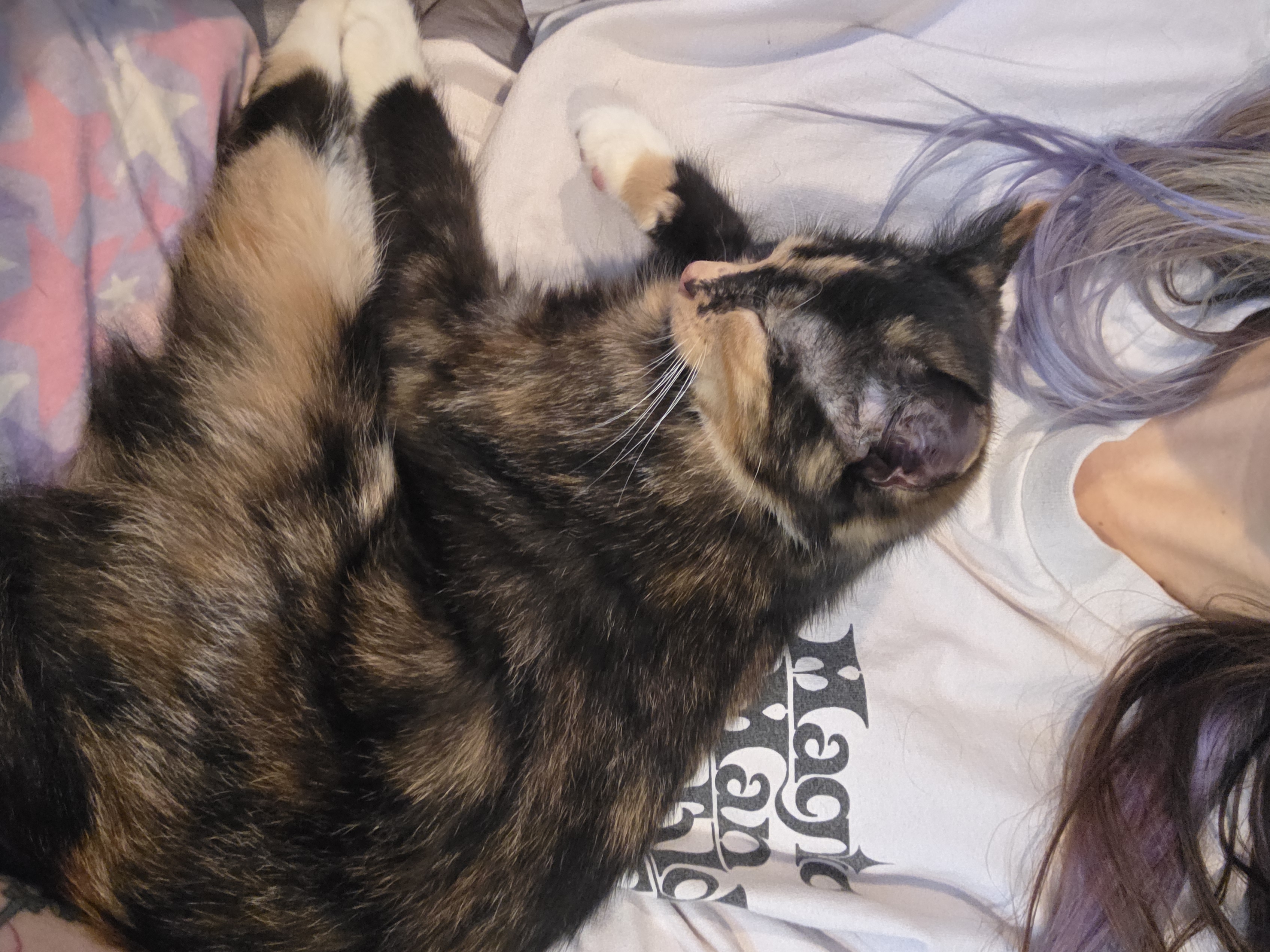 Doris thumbnail 3