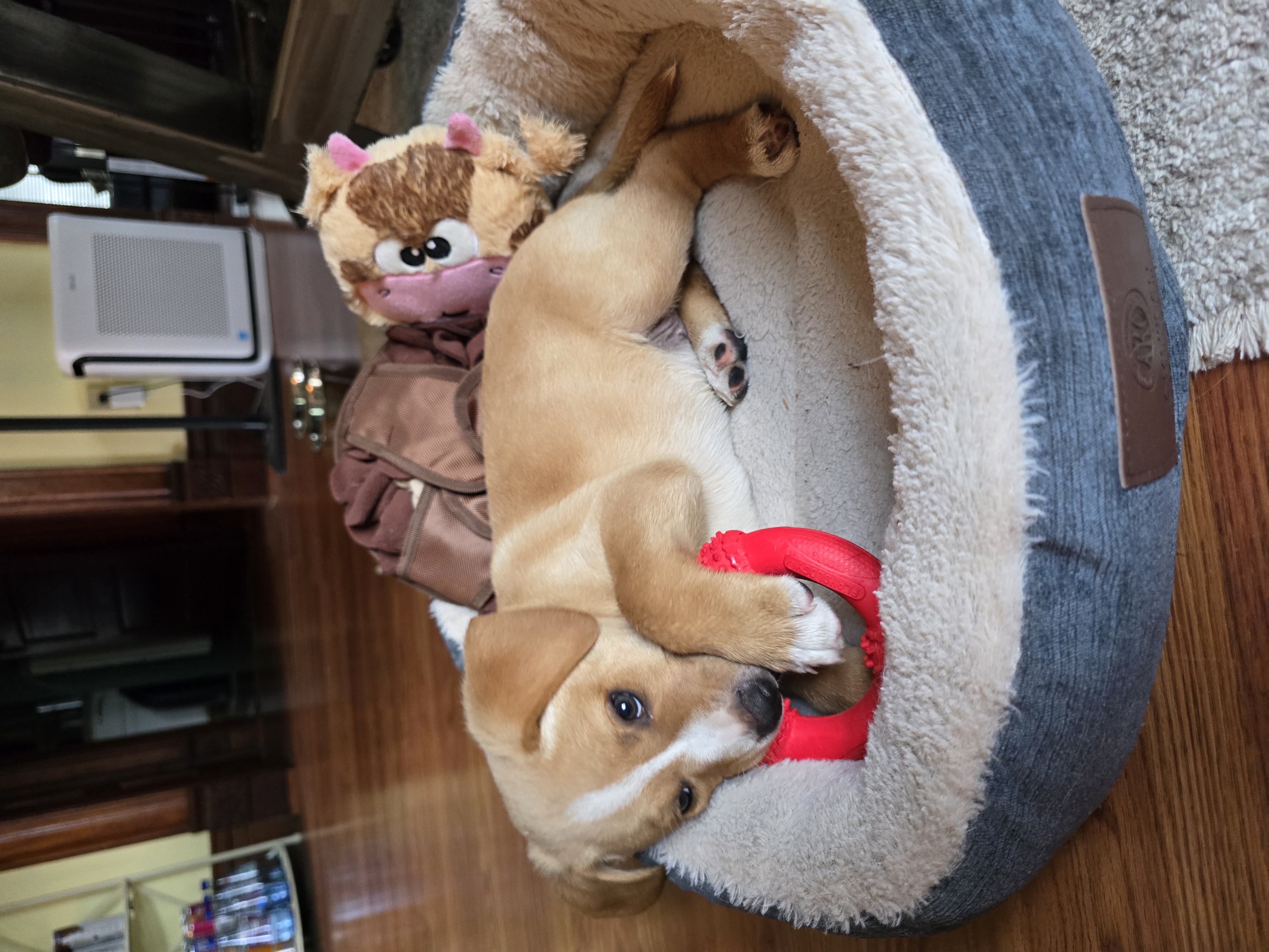 Steve - Photo 1