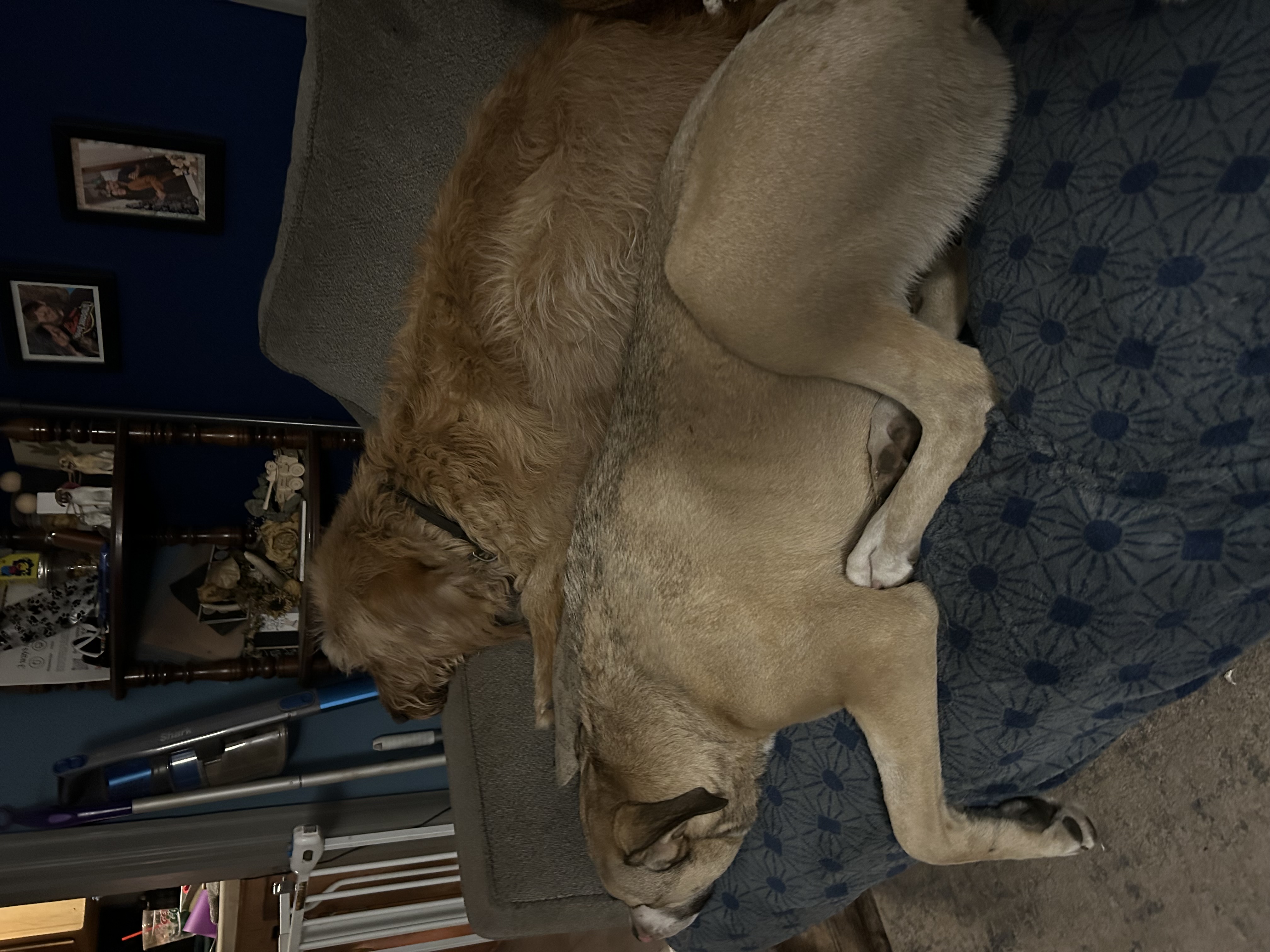 Alta Mae thumbnail 4