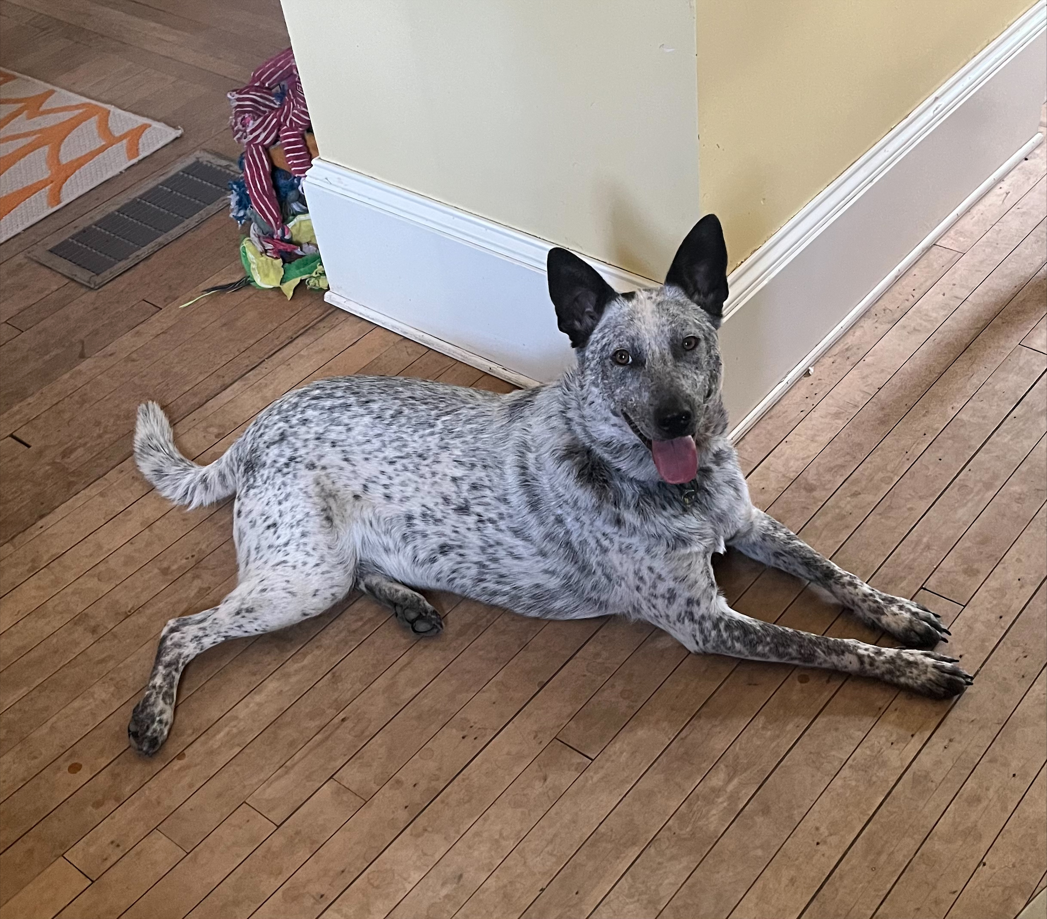 Skye