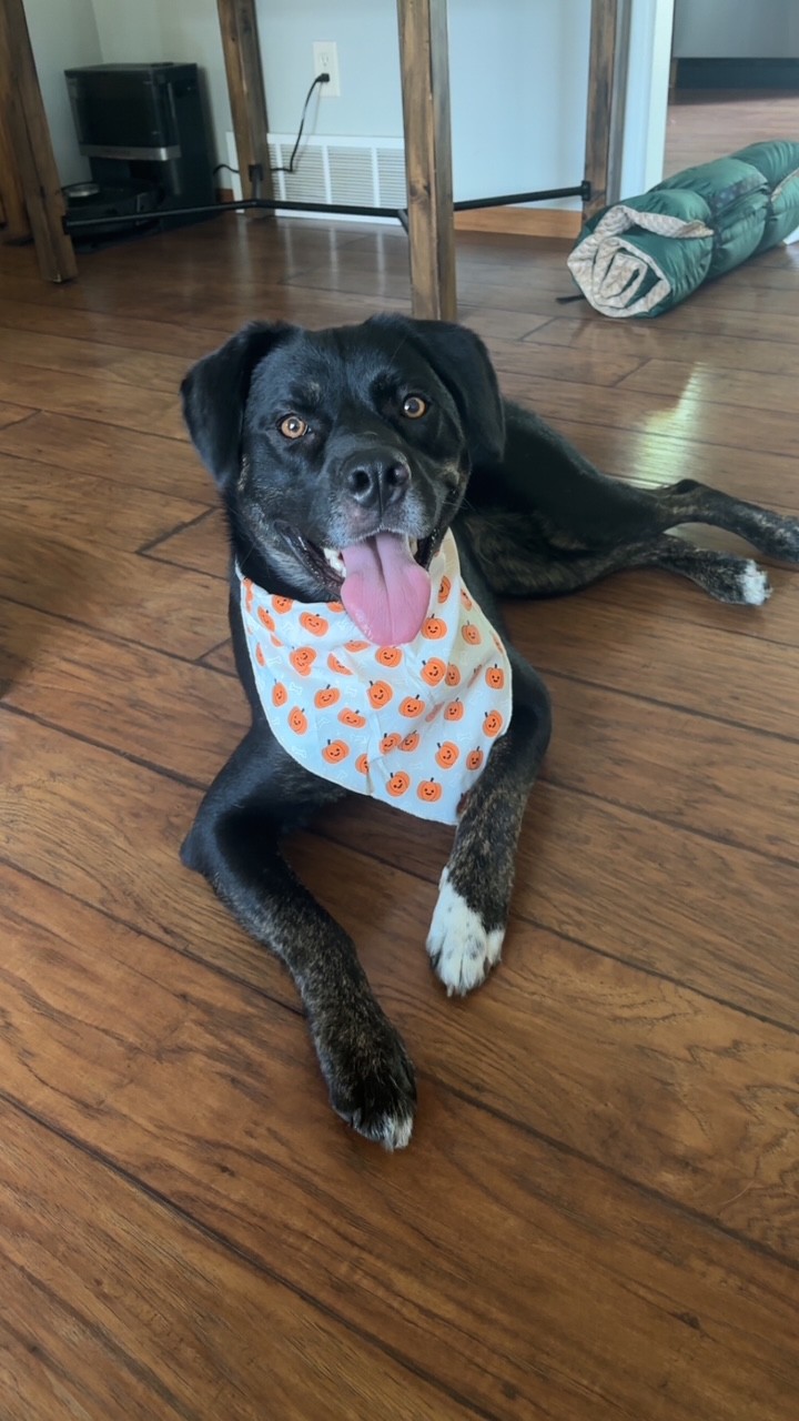 Rosie