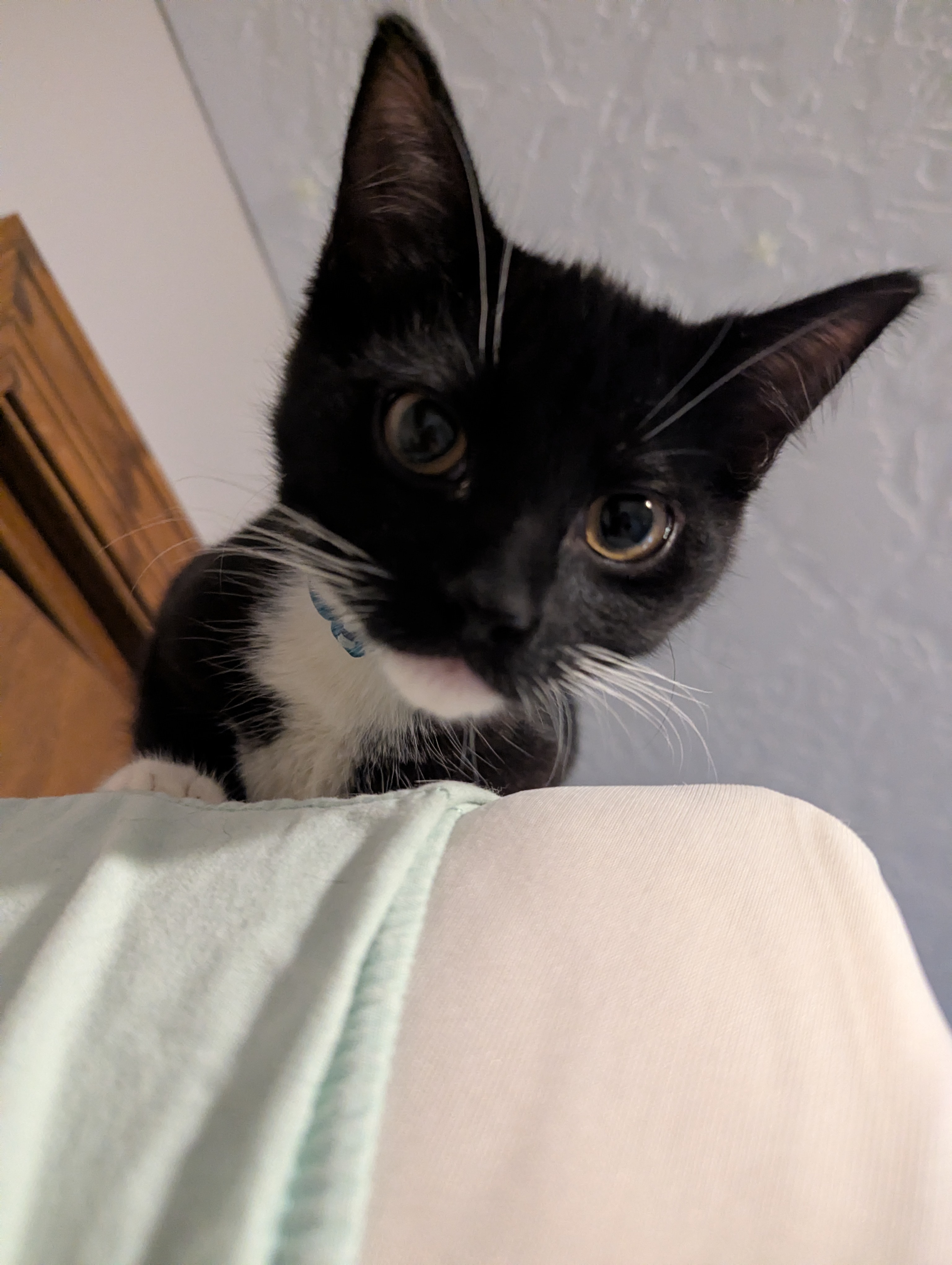 Walter thumbnail 4