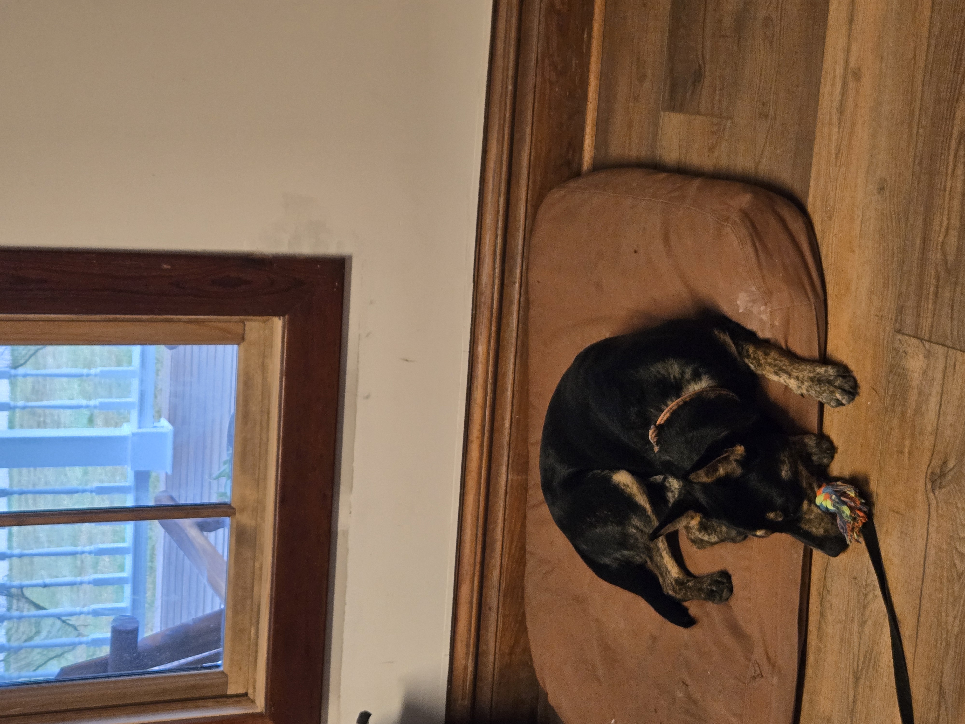 Boone thumbnail 3