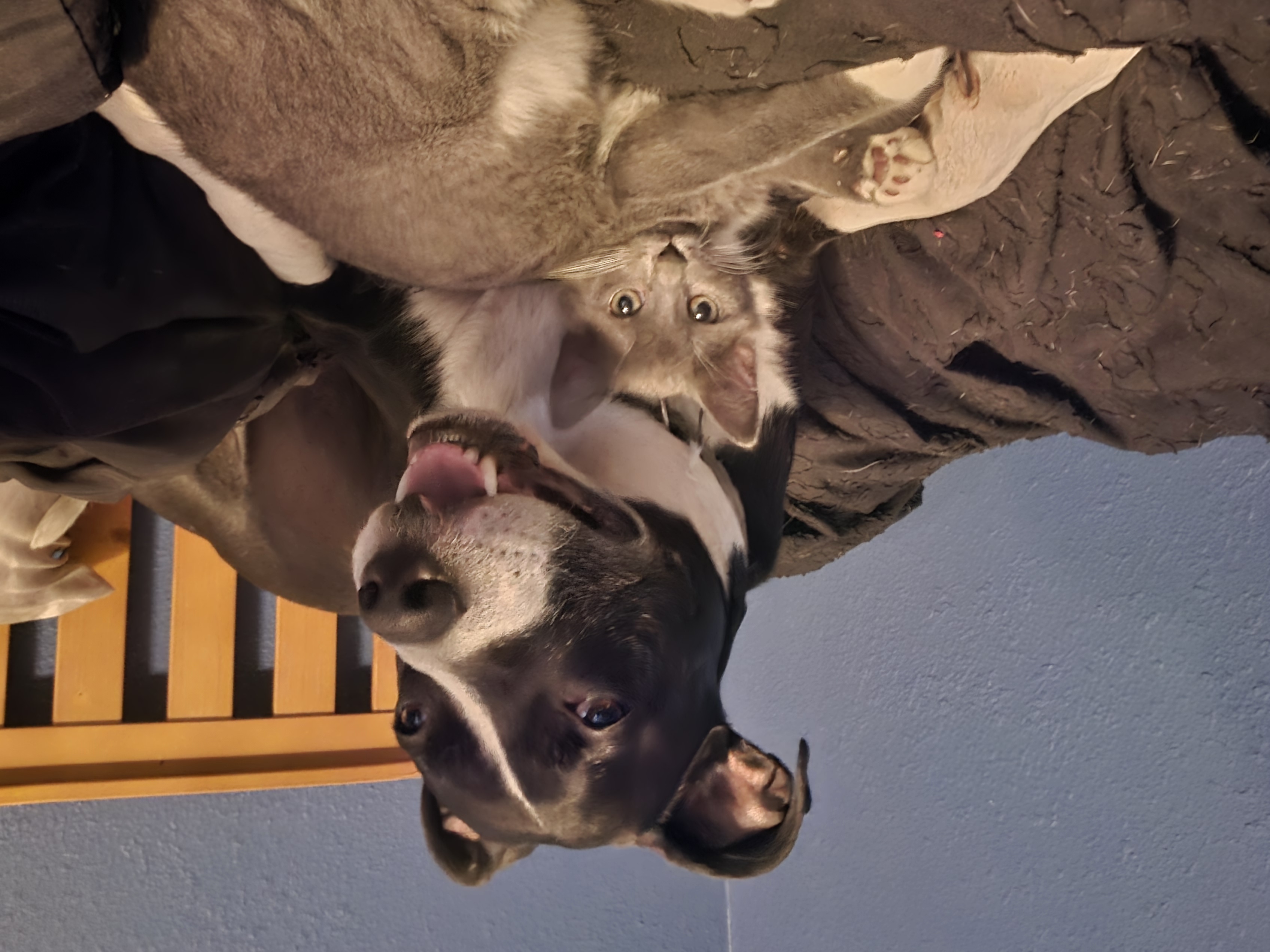 Ethel thumbnail 2